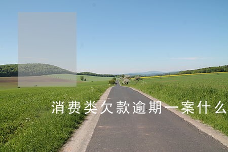 消费类欠款逾期一案什么意思 消费类欠款逾期一案什么意思