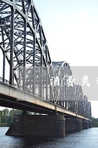 消费类逾期是什么意思 消费类逾期是什么意思