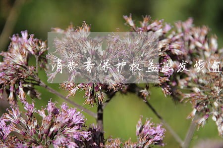 消费者保护权益法发货逾期 消费者保护权益法发货逾期
