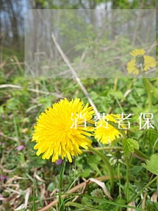消费者保护权益法逾期发货 消费者保护权益法逾期发货
