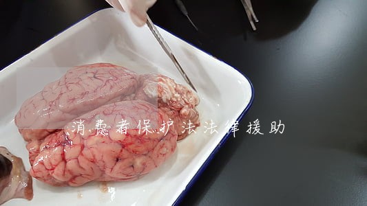 消费者保护法法律援助