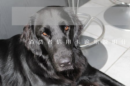 消费者信用卡逾期说明什么 消费者信用卡逾期说明什么