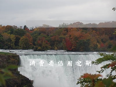 消费者信用逾期 消费者信用逾期
