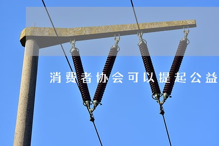 消费者协会可以提起公益诉讼吗 消费者协会可以提起公益诉讼吗