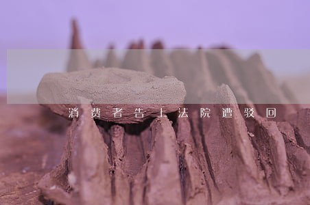 消费者告上法院遭驳回 消费者告上法院遭驳回