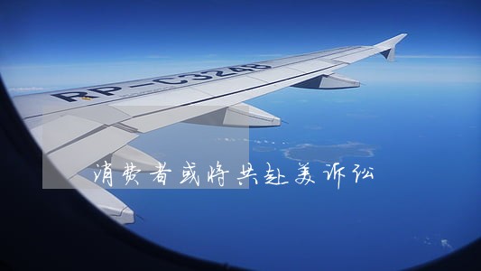 消费者或将共赴美诉讼 消费者或将共赴美诉讼