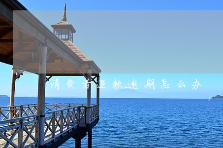 消费者退款逾期怎么办 消费者退款逾期怎么办
