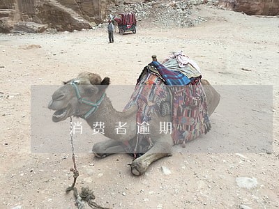 消费者逾期 消费者逾期