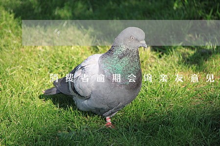 消费者逾期会询亲友意见 消费者逾期会询亲友意见