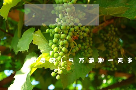 消费贷15万逾期一天多少钱 消费贷15万逾期一天多少钱