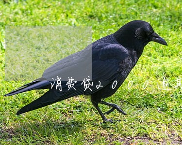 消费贷2000逾期2年 消费贷2000逾期2年