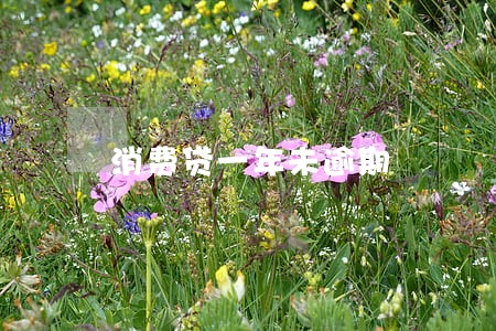 消费贷一年未逾期 消费贷一年未逾期