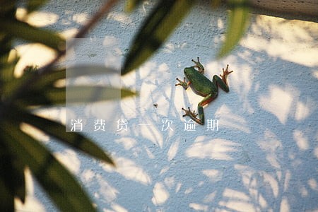 消费贷一次逾期 消费贷一次逾期