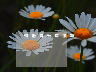 消费贷一类逾期 消费贷一类逾期