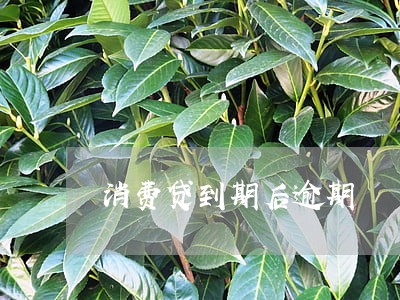消费贷到期后逾期 消费贷到期后逾期