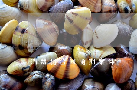 消费贷合同逾期案件 消费贷合同逾期案件