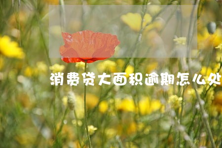 消费贷大面积逾期怎么处理