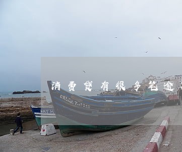 消费贷有很多笔逾期要怎么算