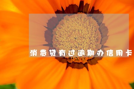 消费贷有过逾期办信用卡吗 消费贷有过逾期办信用卡吗