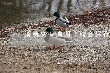 消费贷有逾期一般会保存几年