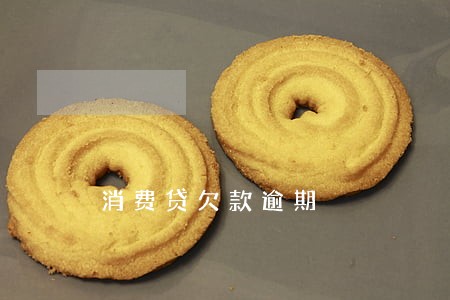 消费贷欠款逾期