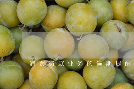 消费贷款业务的逾期提醒 消费贷款业务的逾期提醒