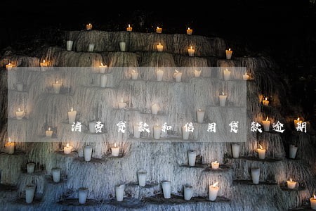 消费贷款和信用贷款逾期的区别