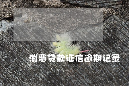 消费贷款征信逾期记录 消费贷款征信逾期记录