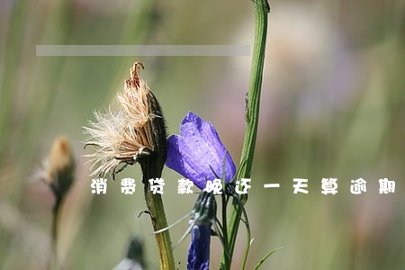 消费贷款晚还一天算逾期吗 消费贷款晚还一天算逾期吗