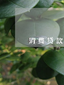 消费贷款有一次逾期 消费贷款有一次逾期