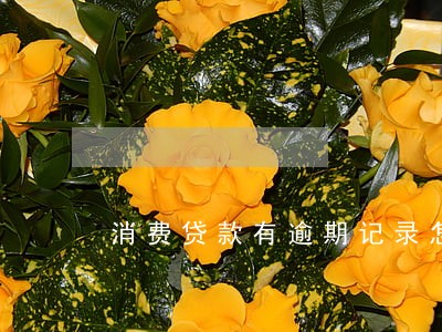 消费贷款有逾期记录怎么消除 消费贷款有逾期记录怎么消除