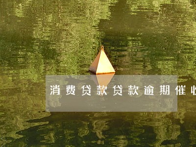 消费贷款贷款逾期催收措施 消费贷款贷款逾期催收措施