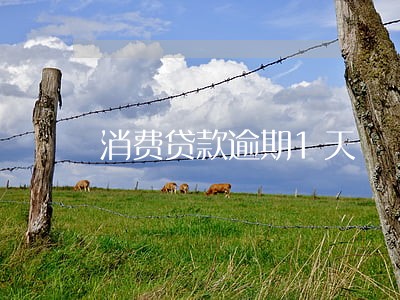 消费贷款逾期1天 消费贷款逾期1天