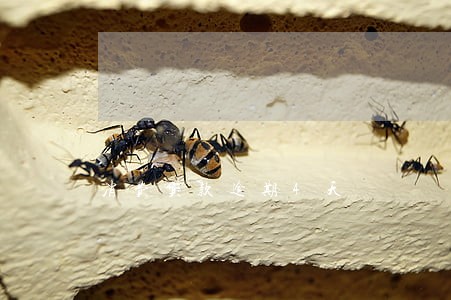 消费贷款逾期4天 消费贷款逾期4天