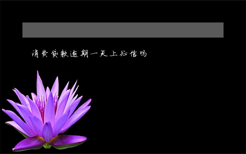 消费贷款逾期一天上征信吗 消费贷款逾期一天上征信吗