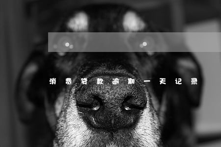 消费贷款逾期一天记录