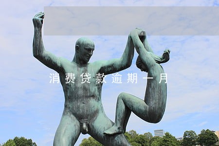 消费贷款逾期一月
