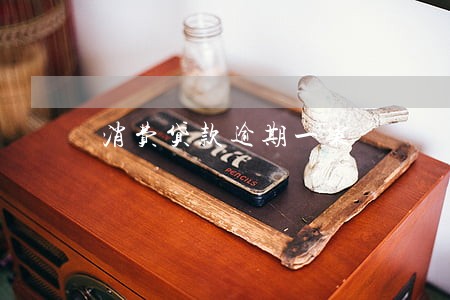 消费贷款逾期一案 消费贷款逾期一案