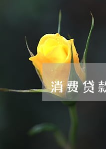 消费贷款逾期了怎么办 消费贷款逾期了怎么办
