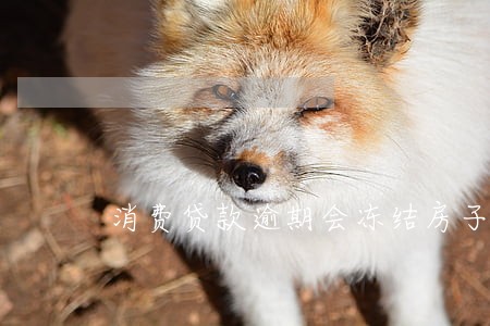 消费贷款逾期会冻结房子吗 消费贷款逾期会冻结房子吗
