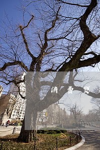 消费贷款逾期会影响申请车贷 消费贷款逾期会影响申请车贷