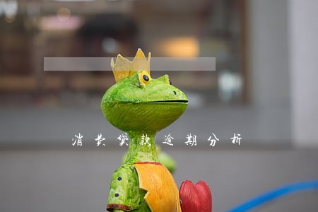 消费贷款逾期分析 消费贷款逾期分析