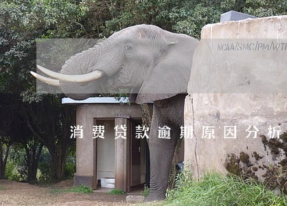 消费贷款逾期原因分析 消费贷款逾期原因分析