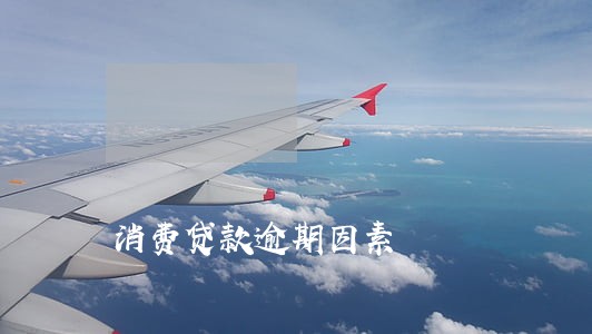 消费贷款逾期因素 消费贷款逾期因素