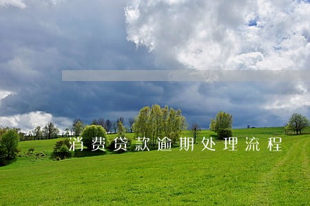 消费贷款逾期处理流程
