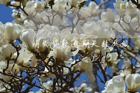 消费贷款逾期天数次级 消费贷款逾期天数次级