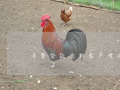 消费贷款逾期客户增加 消费贷款逾期客户增加