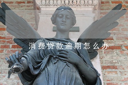 消费贷款逾期怎么办 消费贷款逾期怎么办