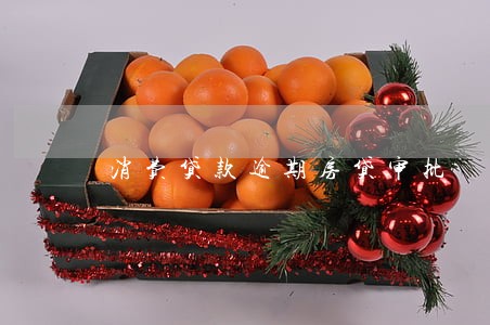 消费贷款逾期房贷审批 消费贷款逾期房贷审批