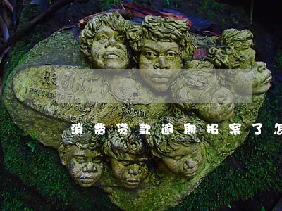 消费贷款逾期报案了怎么办 消费贷款逾期报案了怎么办